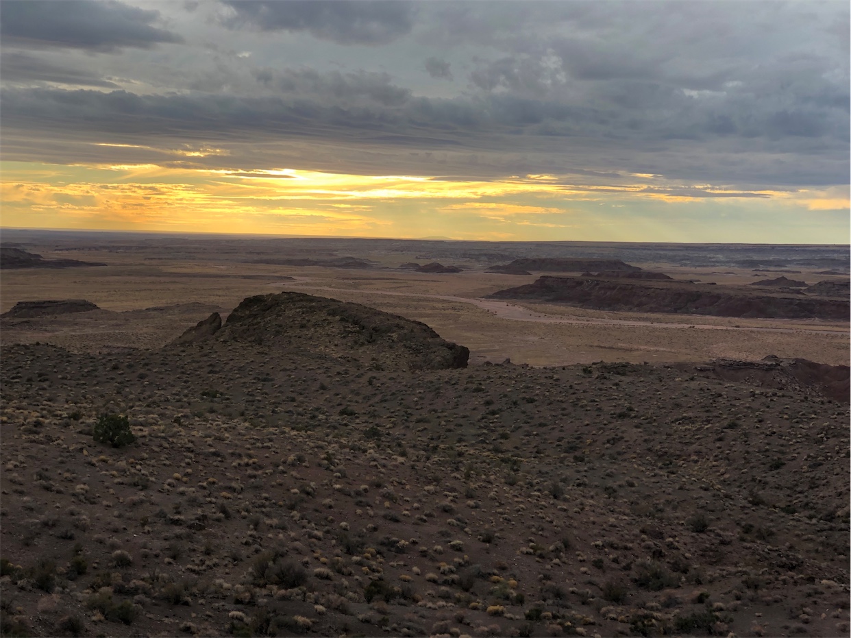 Petrified Forest NP