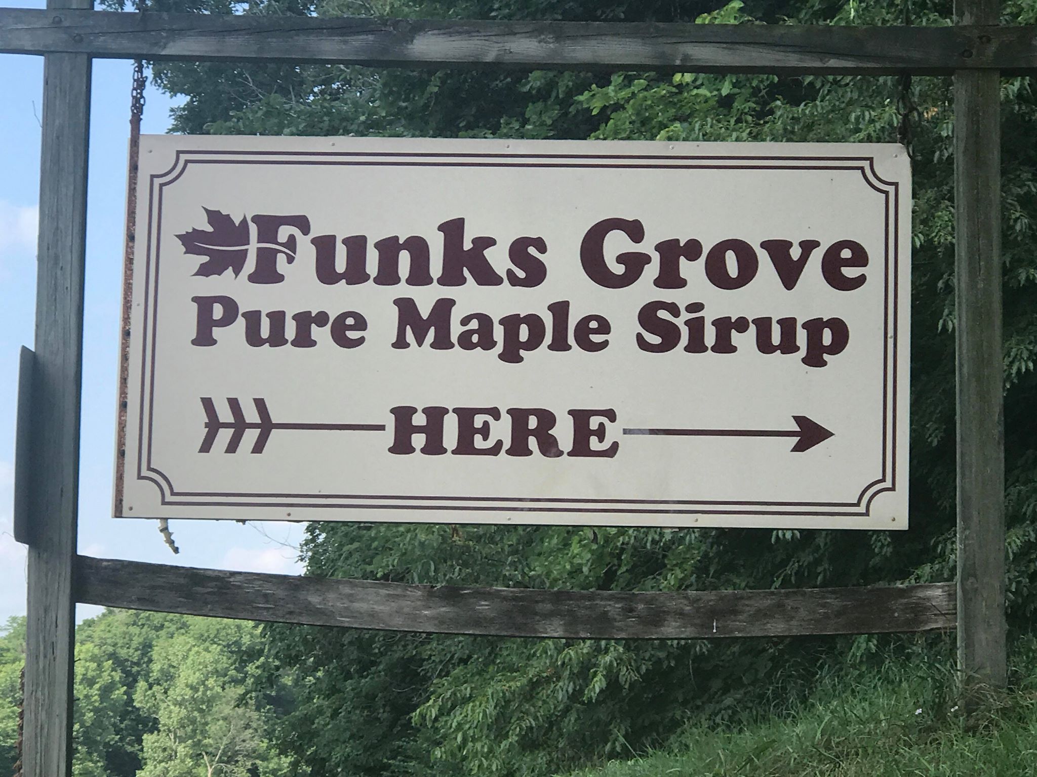 Funks Grove Maple Sirup