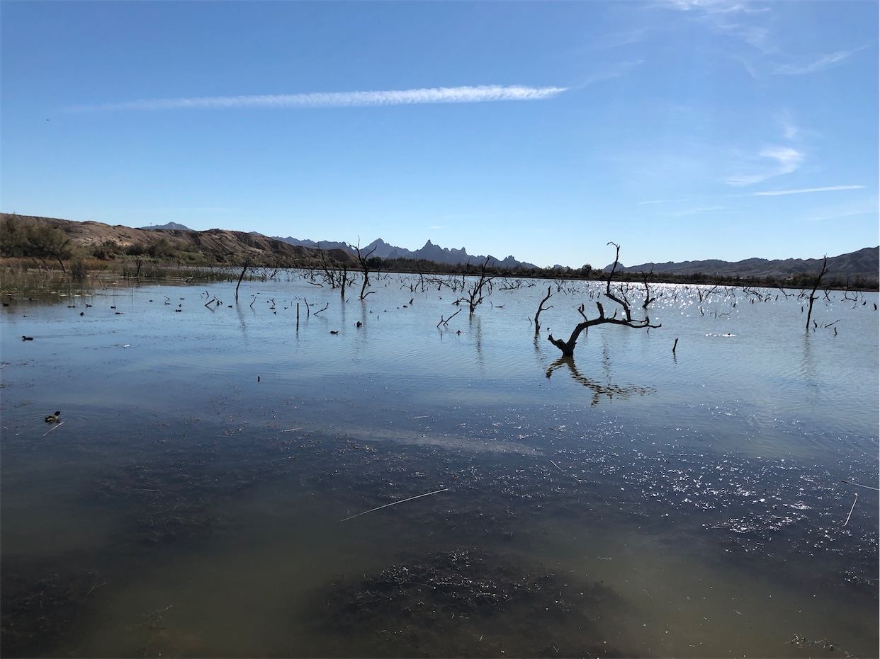 Havasu National Wildlife Refuge