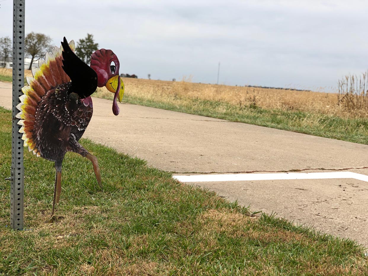 Turkey Tracks on Route 66